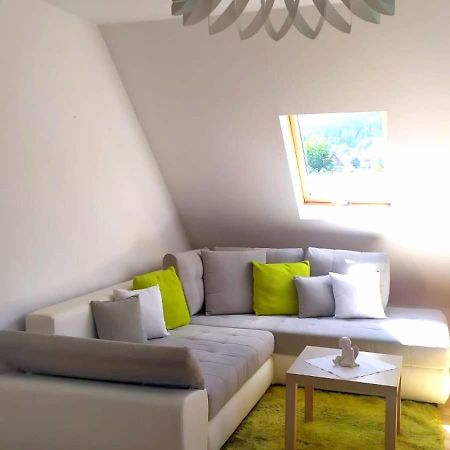 Apartament Widok Na Sniezke Miłków Zewnętrze zdjęcie